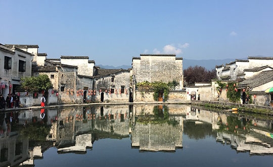 关于公司组织秋季旅游的通知