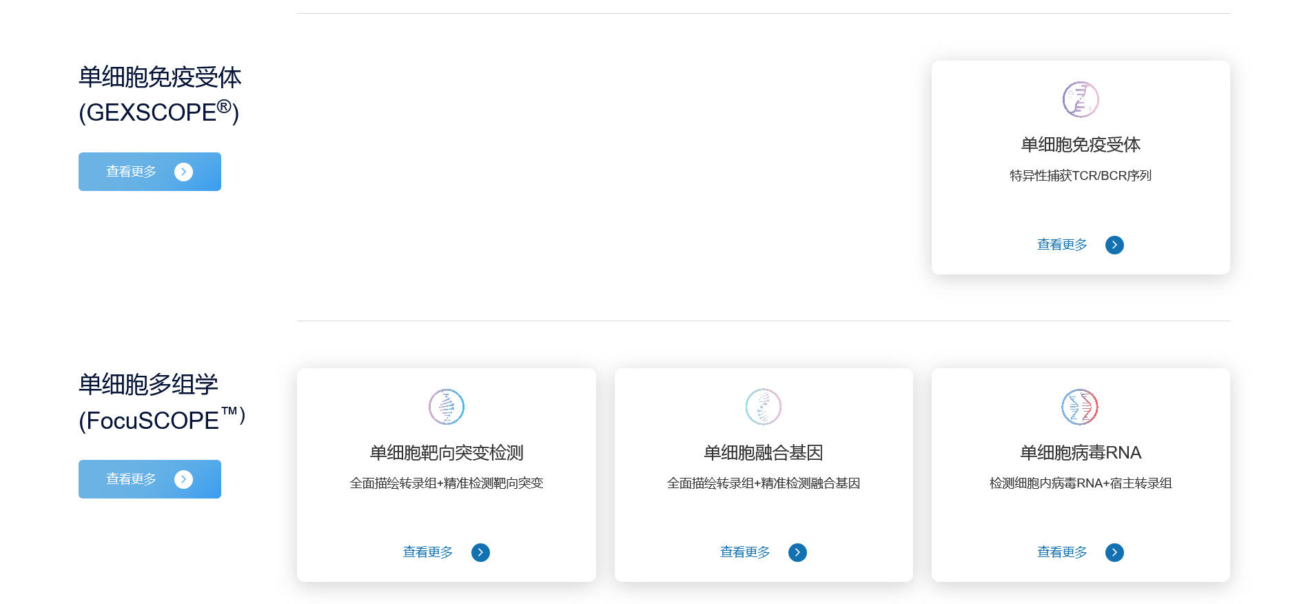 新格元